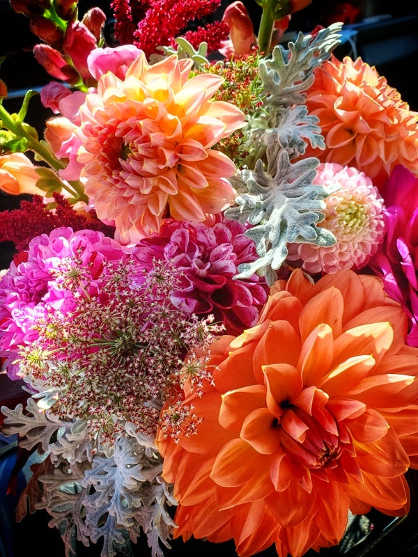 Autumn Arrangement Workshop (Saturday, 11/1, 3pm)