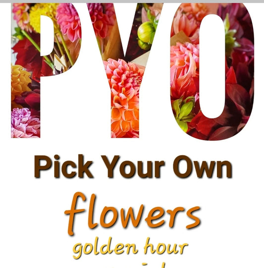 SPECIAL Golden Hour PYO (Friday, 9/19, 5:30pm)