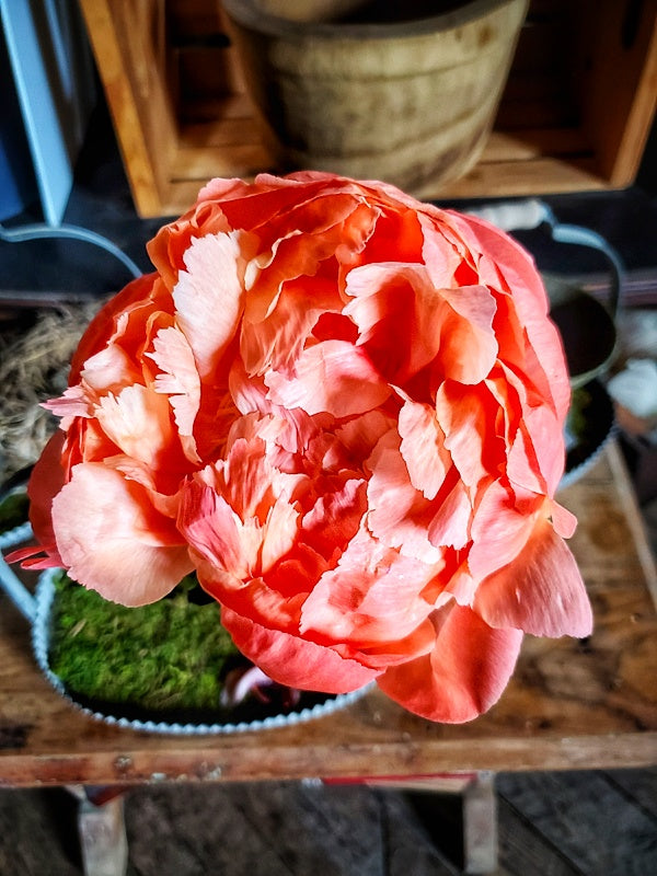 2026 Peony CSA