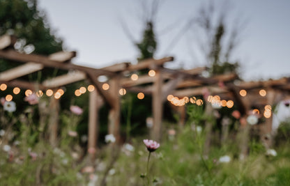 Garden Club Membership:  Late Season ONLY (Copy)