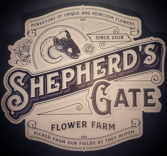 Table Setting for the Holidays. (11/14, 10am)