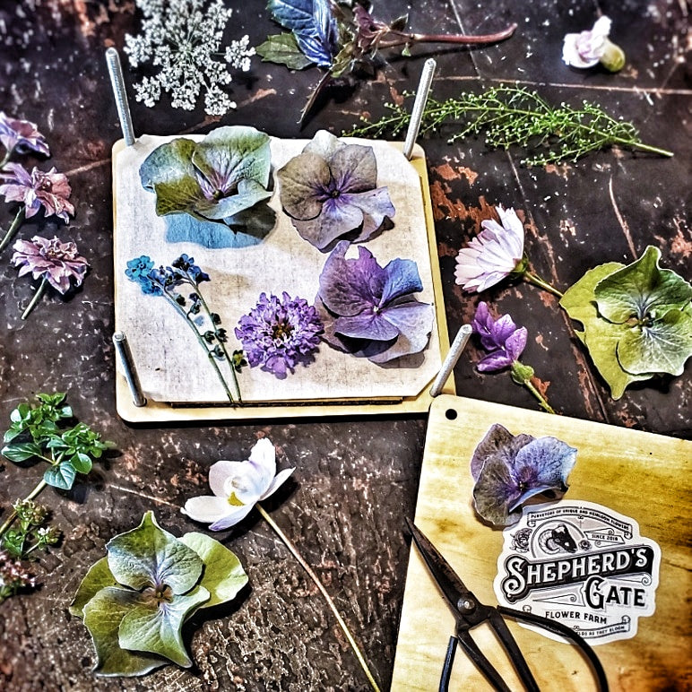 Family Workshop:  Flower Pressing (7/18, 9:30am)