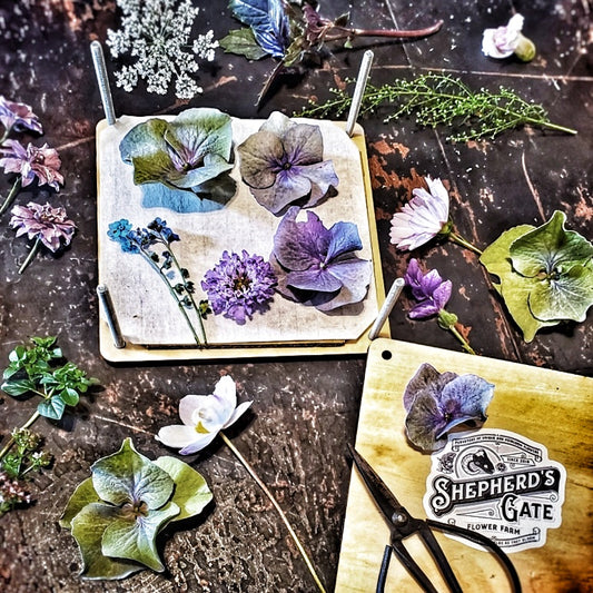 Family Workshop:  Flower Pressing (7/18, 9:30am)